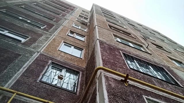 Мы уехали проведать внуков)) Попали в садовый центр, купили саженцы и не только)) смотреть онлайн