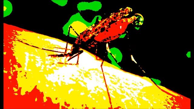 aNOPHELES dE LA mALARIA смотреть онлайн