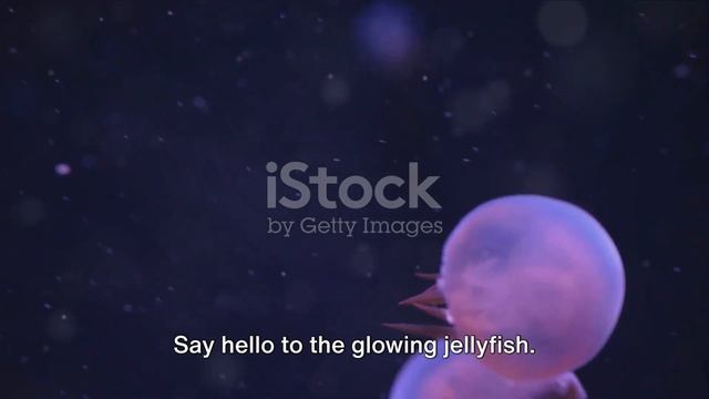 Lanternfish Lullaby: The Bioluminescent Wonders of China's Deep Seas смотреть онлайн