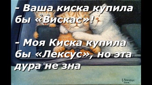 Анекдот Юмор Ваша киска смотреть онлайн