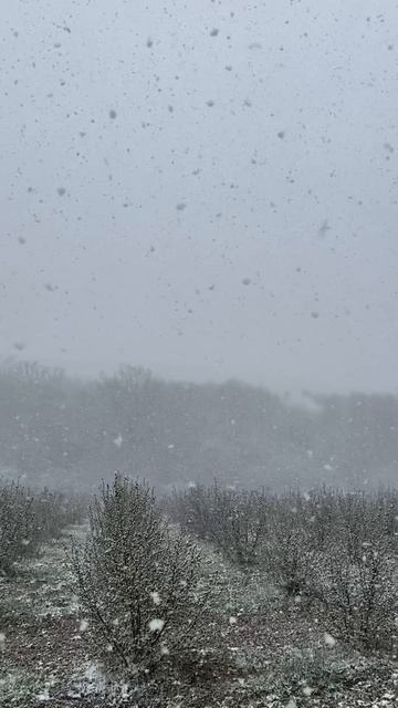 Апрель. Крым смотреть онлайн