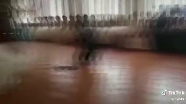 Маленький поклонники Мурата и Райан ♥️ смотреть онлайн