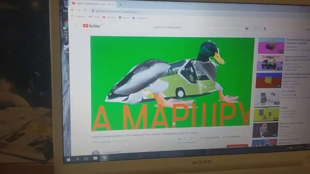 утка маршутка(орегинальноя версия) смотреть онлайн