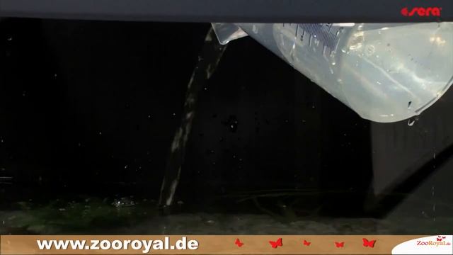 Sera Biotop Aquarium einrichten смотреть онлайн