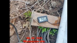 Как пережить рассаде апрельскую зиму?