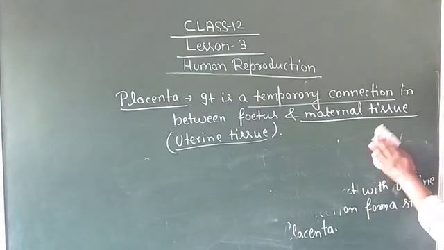 Class -12 //Lesson -3 //placenta смотреть онлайн