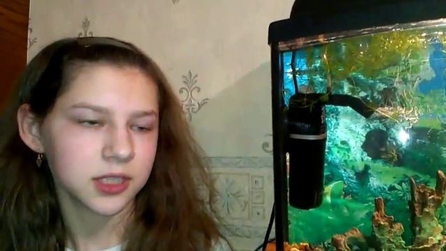 Наблюдения за аквариумом ЧАСТЬ 2 смотреть онлайн