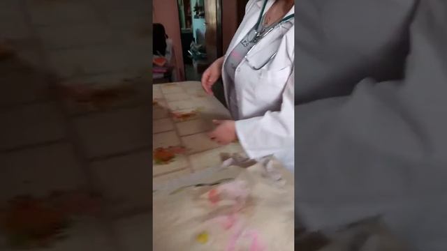 Video 2 Semiologia Parte 2