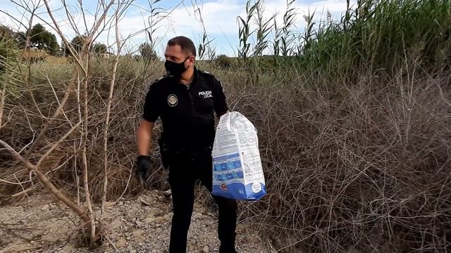 Policía local de Bigastro retira una enorme culebra bastarda de una vivienda смотреть онлайн