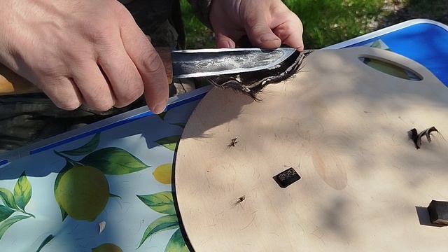 длина клинка 139мм, ширина 26мм, толщина 4мм. вес ножа 135 грамм, ножны 95 грамм смотреть онлайн