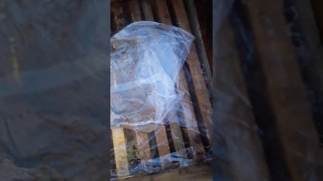 Подкладываю канди в начале марта. Пасека Новик. смотреть онлайн