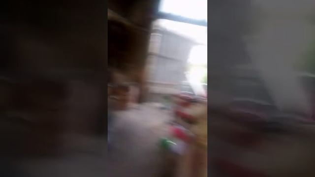 ВОЛОДЬКА НА ДВІЖІ ГОДУЄ БИКІВ смотреть онлайн