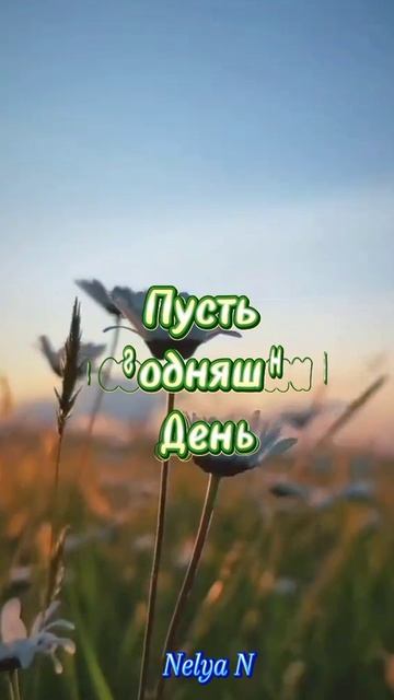 Доброе Утро. Добрый вечер. ВидеоОткрытки на каждый день смотреть онлайн