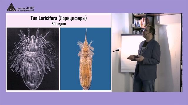 Научные итоги 2024 года Палеонтология - Андрей Журавлев