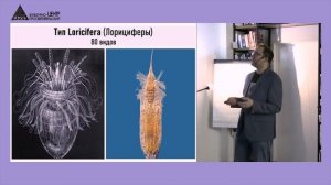 Научные итоги 2024 года Палеонтология - Андрей Журавлев