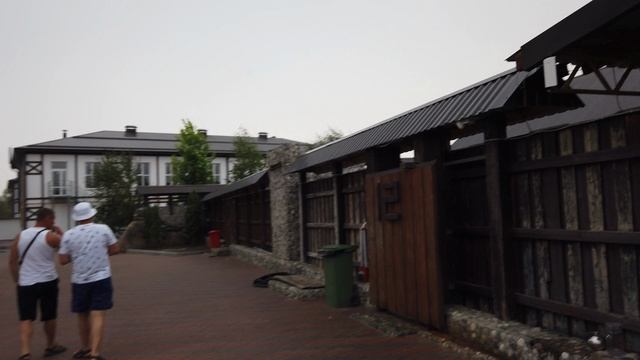 фортуна.клондайк.гедуко