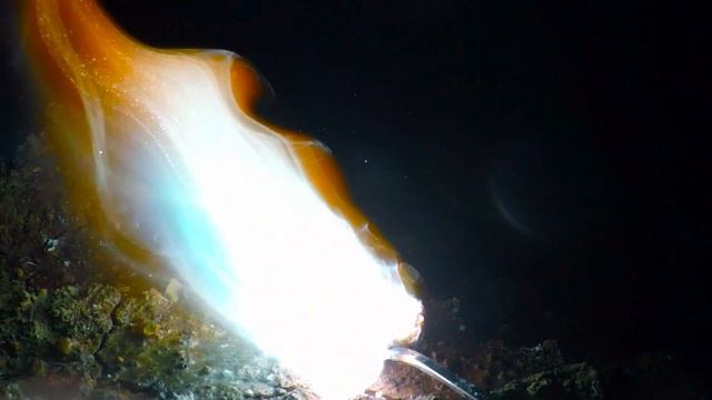 magnesium reaction смотреть онлайн
