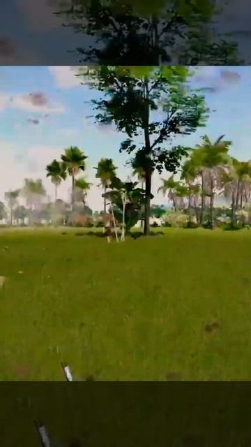 атака Вьетнамцев на деревню захващеную американцами #shorts смотреть онлайн