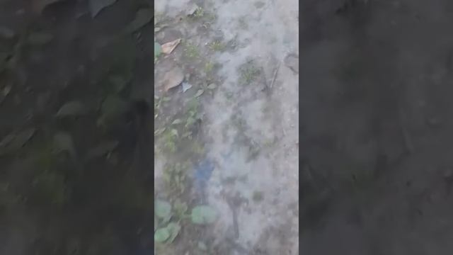 слежка топ 2 часть смотреть онлайн