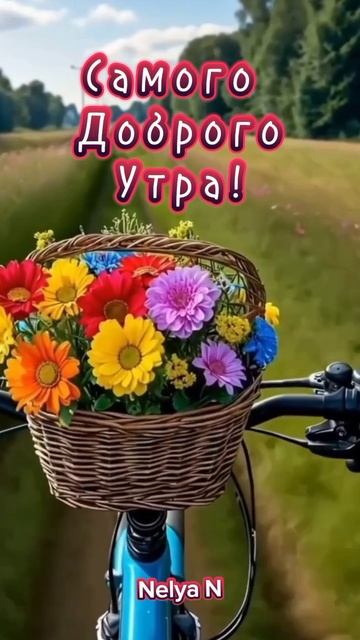 Доброе Утро. Добрый вечер. ВидеоОткрытки на каждый день смотреть онлайн