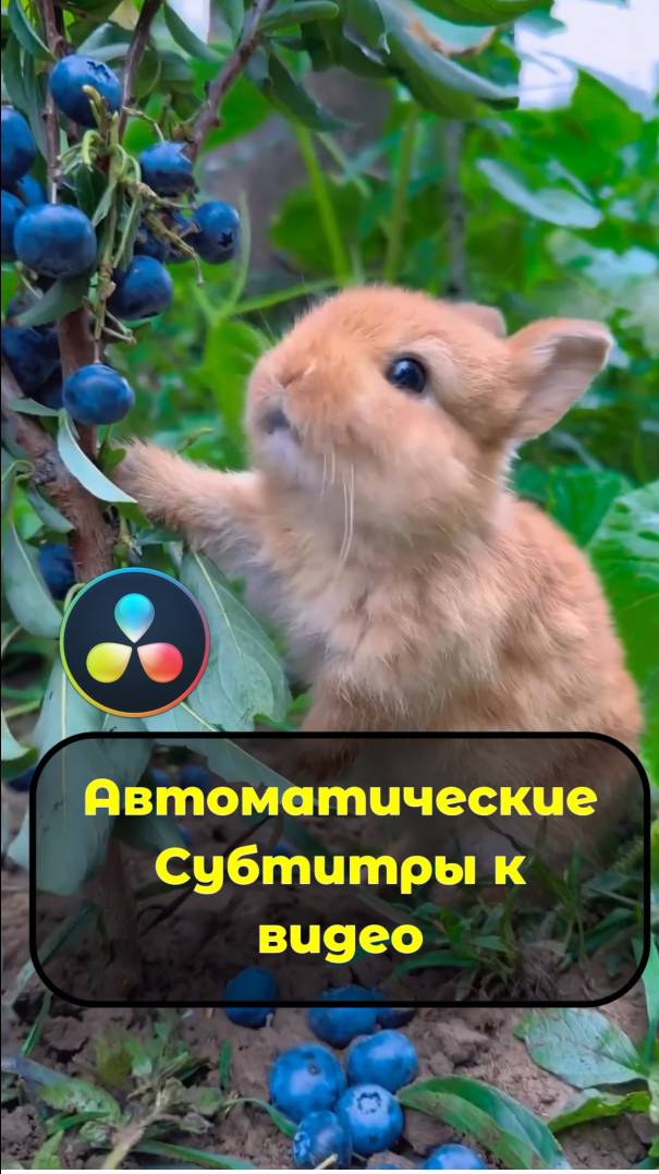 Автоматические субтитры в DaVinci Resolve за пару кликов! Как добавить субтитры в DaVinci Resolve. смотреть онлайн