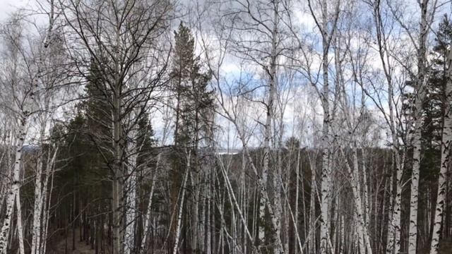 Курочкин лог смотреть онлайн
