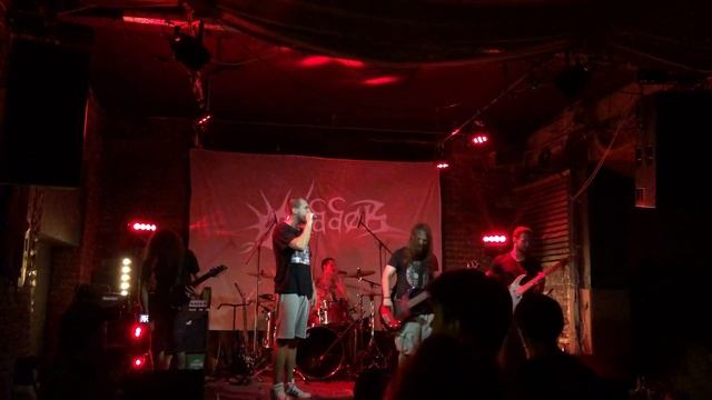 Reddok-Oglinda(Live) смотреть онлайн