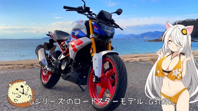 【BMW】G310R、それは中型ネイキッドの「答え」。 смотреть онлайн