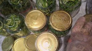 Черемша. Как закатать черемшу в банки. Маринованная черемша.