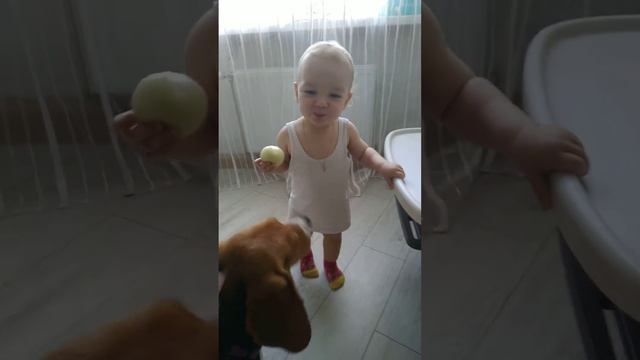 Малыш ест лук！Смех до слез！ смотреть онлайн