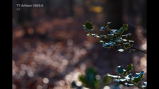 TTArtisan 100 мм F2.8 - новый король пузырькового боке