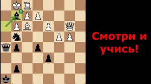 Универсальная Схема против Дебюта Рети