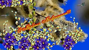 С Вербным Воскресеньем!!! Праздничное поздравление С Вербным Воскресеньем 1!!!