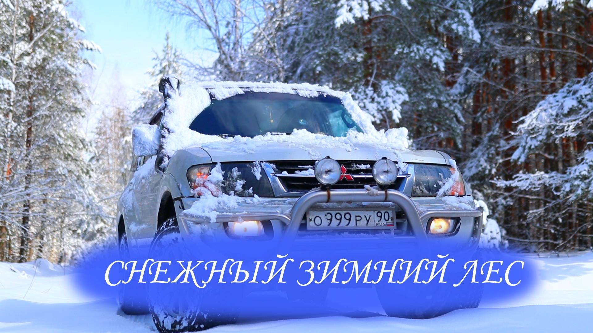 КРАСИВЫЕ КАДРЫ СНЕЖНОГО ЛЕСА ПОСЛЕ АПРЕЛЬСКОГО ЦИКЛОНА 2025 года смотреть онлайн