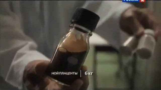 О плаценте. Компонент Сosmetics PBD смотреть онлайн