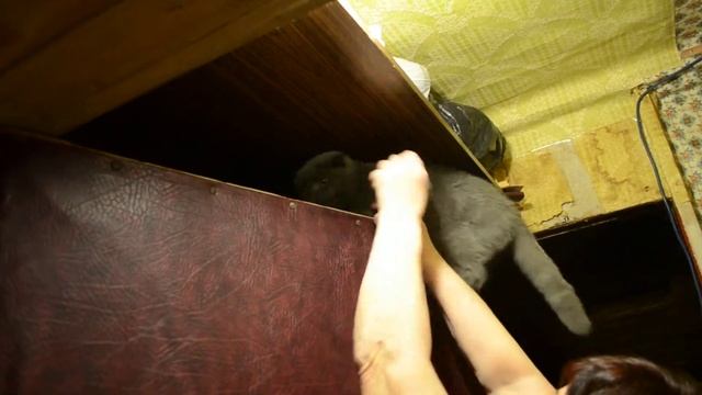 Мэйсон повис на двери) смотреть онлайн