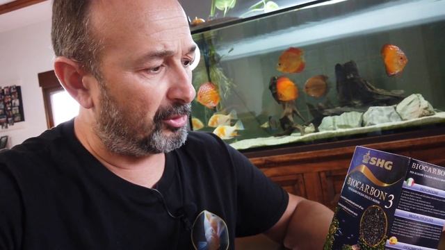 COMPRAR PECES ACUARIO AGUA DULCE смотреть онлайн