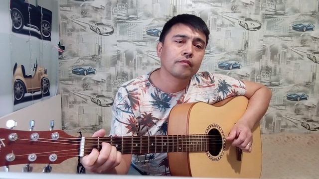 Вновь на родину птицы улетели за горы