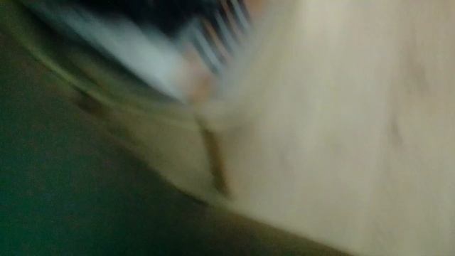 отель для кошек часть 9 смотреть онлайн