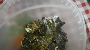 Приготовление экстракта