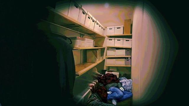 Трейлер No, I'm Not A Human (консоли & релиз, Window)