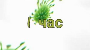 Фиксай- Вирус 1 Час