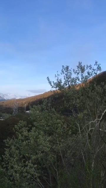 11.04.2025 г. Горы смотреть онлайн