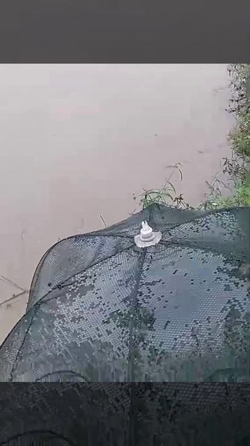 penangkapan ikan bubu payung perangkap ikan pengangkatan 14 смотреть онлайн