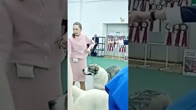 ЯСНА -9 МЕСЯЦЕВ ДОЧЬ МАРШАЛА смотреть онлайн