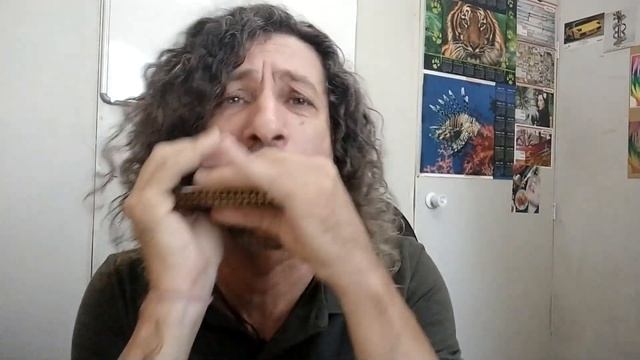 Tipos diferentes de gaitas | Harmonica смотреть онлайн