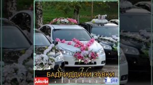 БАДРИДДИНИ ЗАВҚИ. ТУЁНА