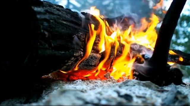 shum kostra#v lesu#rasslablyayushcheye video#press# antistress#шум костра#расслабляющее видео😌 смотреть онлайн