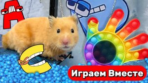 Лабиринт для Хомяка 🐹 Умный Хомяк выбирается из ПОП ИТ Лабиринта с ЛОВУШКАМИ ! Видео для детей