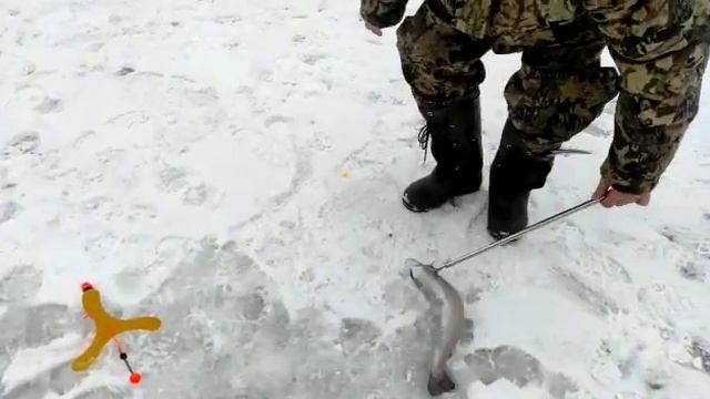 Основной водоём смотреть онлайн